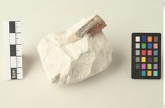 Foto von Calcit (NHMW-MIN-Ab987)